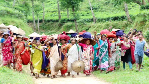 মজুরি ঘোষণার পর আনন্দ মিছিল চা শ্রমিকদের