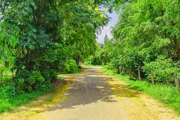 সবুজ শিল্প