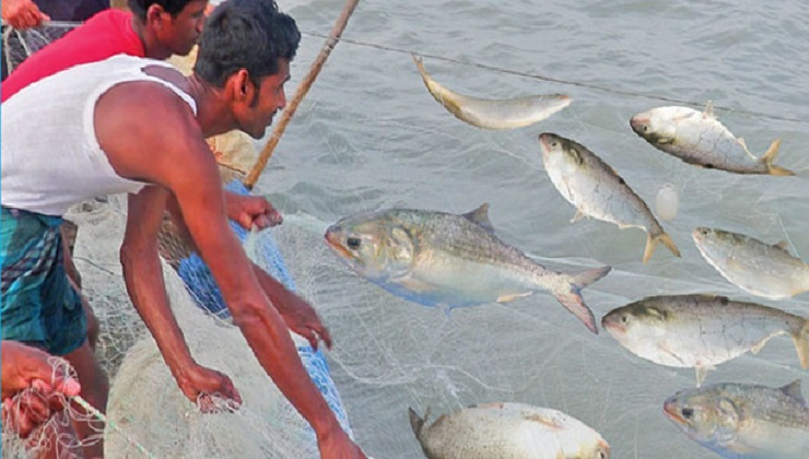 মধ্যরাত থেকে ২২ দিন ইলিশ ধরা বন্ধ