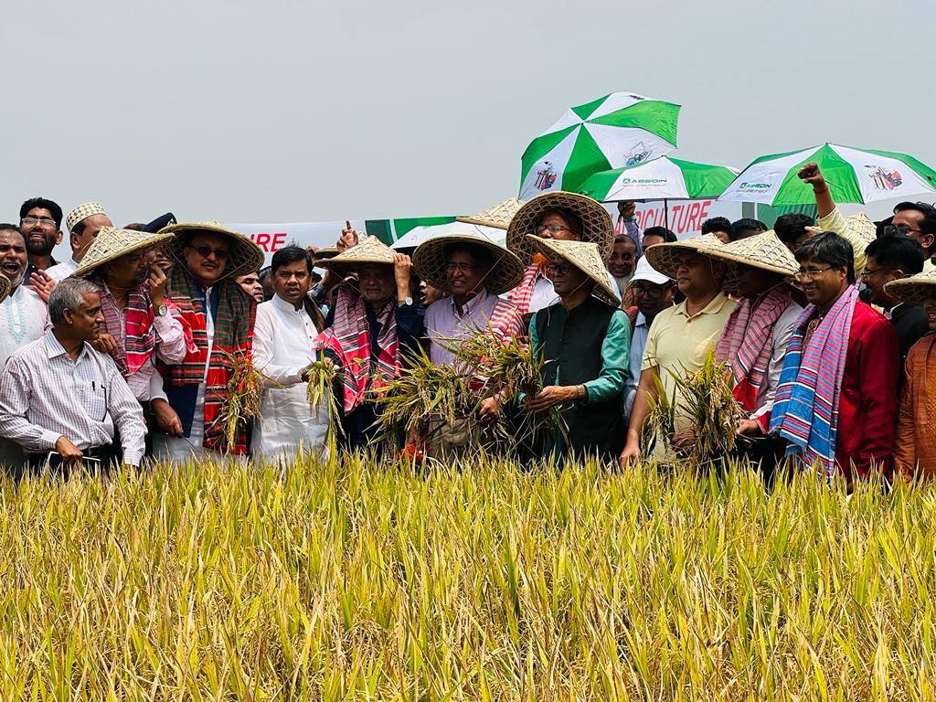 সুনামগঞ্জে বোরো ধান কর্তন উৎসবের শুভ উদ্বোধন হাওরে একসঙ্গে ধান কাটলেন তিন মন্ত্রী