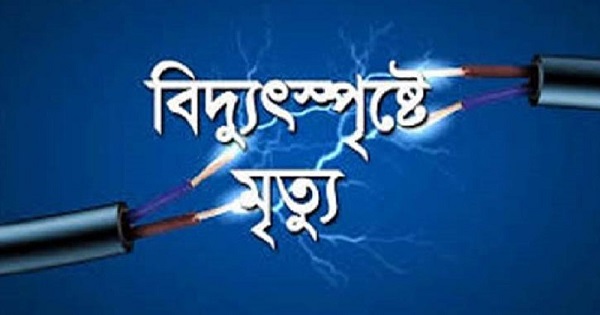 বিদ্যুৎ কেড়ে নিলো স্বামী-স্ত্রীর প্রাণ