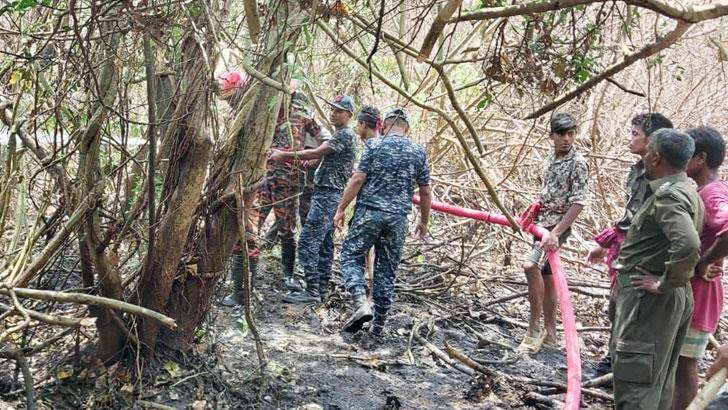 ২২ বছরে সুন্দরবনে ২৪ বার আগুন : তদন্তে বেরিয়েছে যেসব কারণ