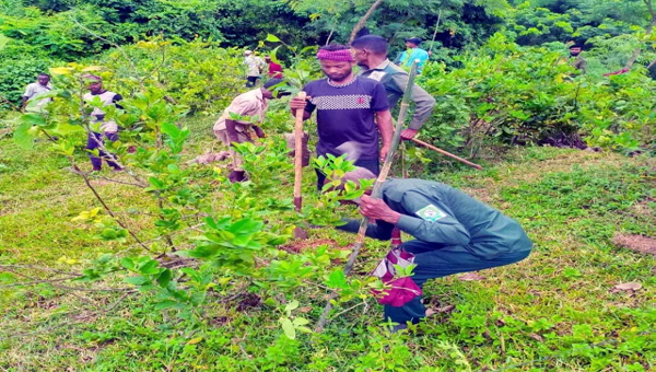 সাবেক কৃষিমন্ত্রীর দখলে থাকা ৫ একর বনের জায়গা উদ্ধার