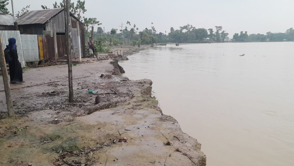 জগন্নাথপুরে কুশিয়ারা নদীর ভাঙ্গনে বিলীন হচ্ছে জনপদ