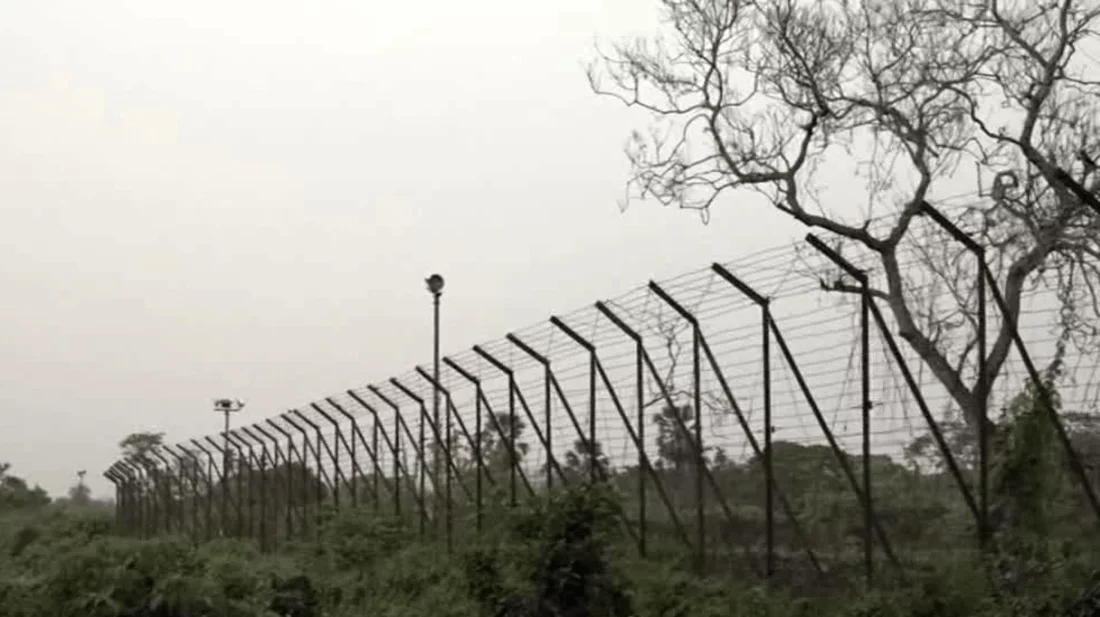 সীমান্ত থেকে বাংলাদেশি কৃষককে ধরে নিয়ে গেছে বিএসএফ