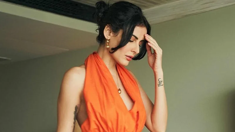 পরিচালক গর্ভপাতে বাধ্য করায় অভিনয় ছাড়েন মান্দানা করিমি