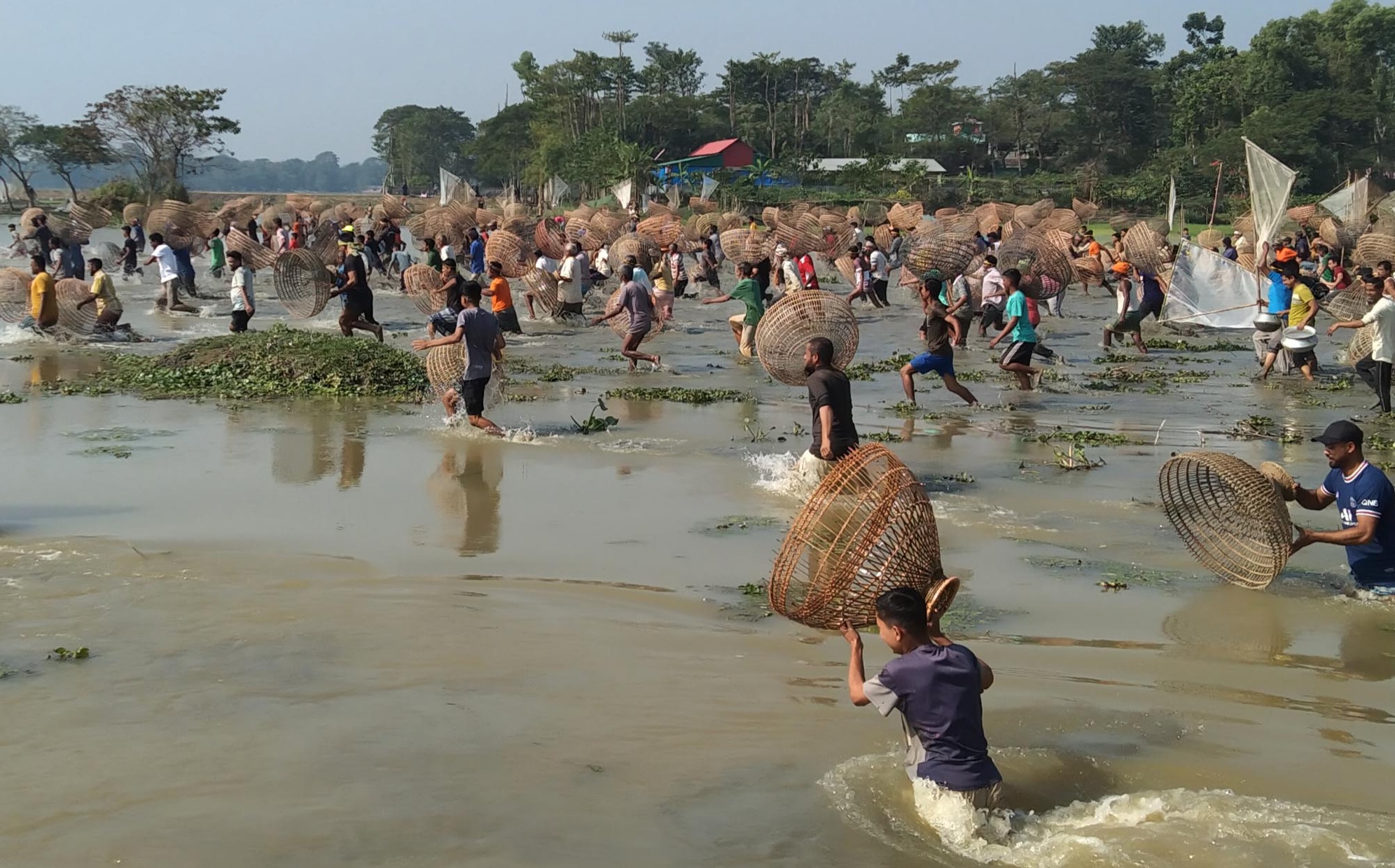 বিশ্বনাথে ঐতিহ্যের পলো বাওয়া উৎসব