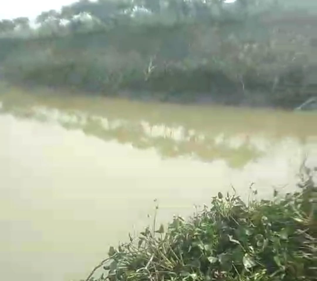 ছাতকে লন্ডন প্রবাসীর পুকুরের মাছ লুট, অভিযোগ দায়ের