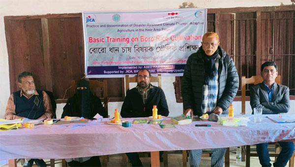 প্রান্তিক কৃষকদের নিয়ে দিনব্যাপী বোরো ধান চাষ বিষয়ক মৌলিক প্রশিক্ষণ অনুষ্ঠিত