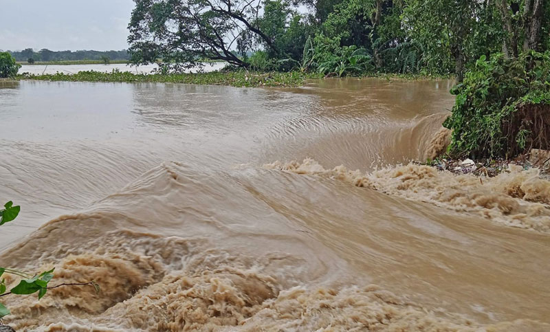 কুশিয়ারার ডাইক ভেঙে ভাসছে জকিগঞ্জ