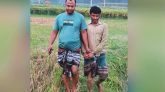 কৃষক সেজে ধানক্ষেত থেকে আসামি ধরল পুলিশ