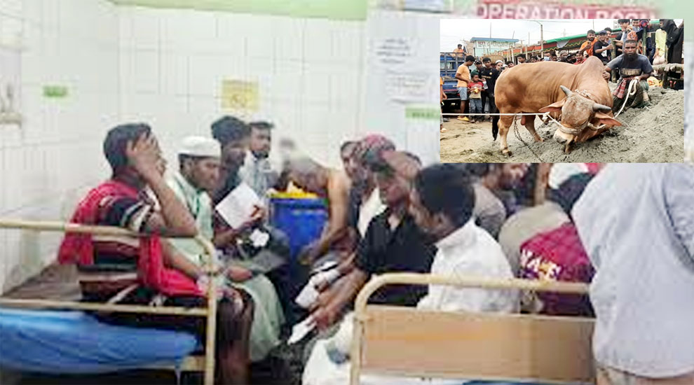 সিলেটে কোরবানি দিতে গিয়ে আহত ৮০ জন