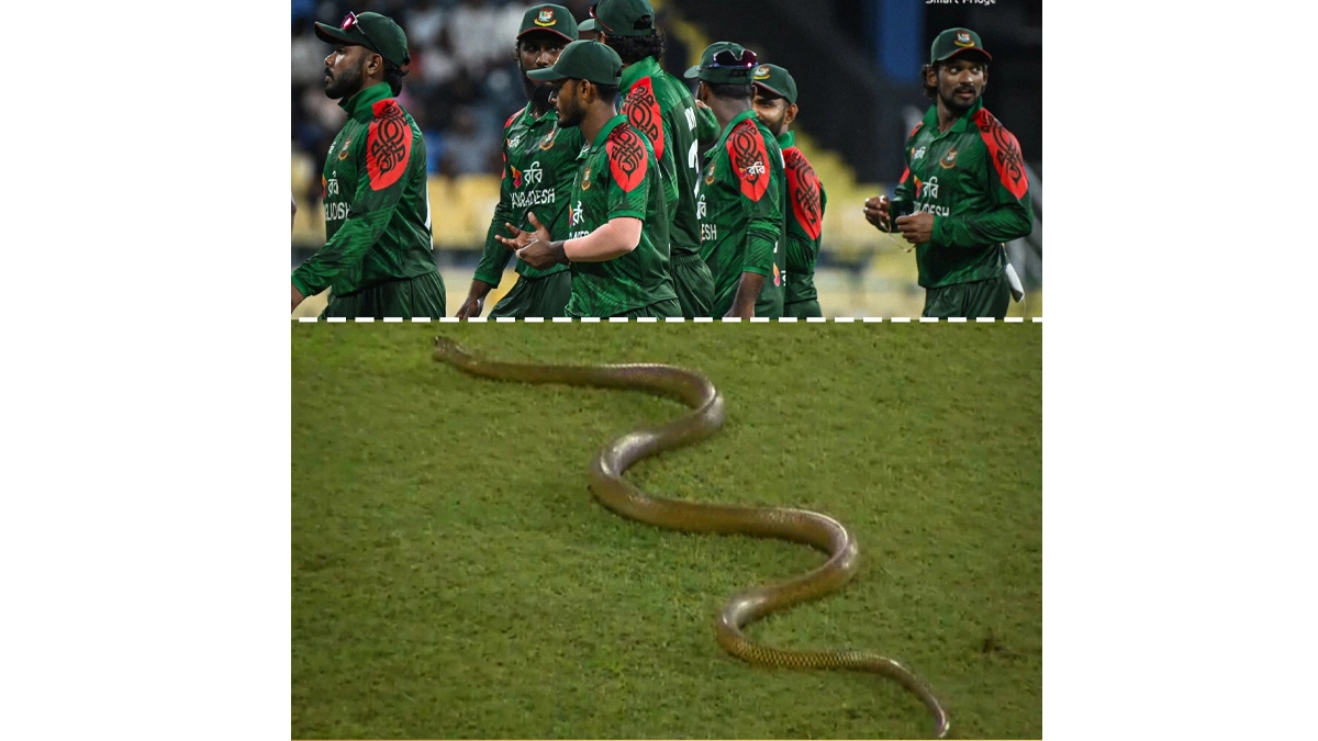 খেলার মধ্যে মাঠে সাপ, ব্যাটিং চালিয়ে গেলেন বাংলাদেশিরা!