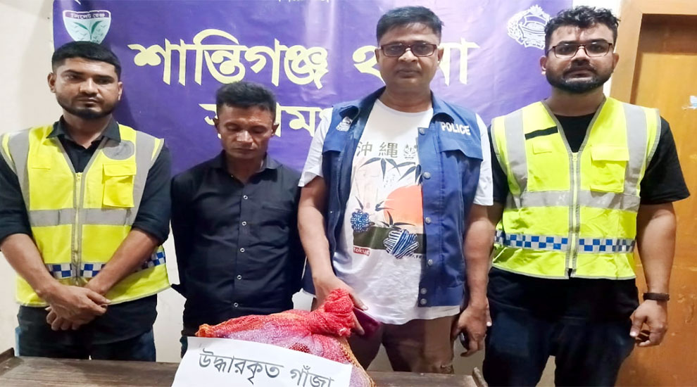 শান্তিগঞ্জে গাঁজাসহ মাদক ব্যবসায়ী আটক