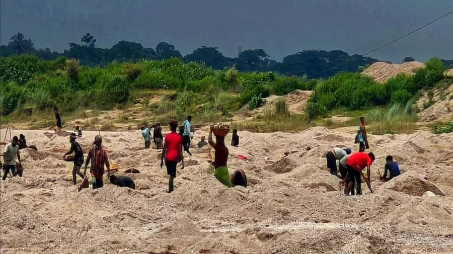 সাদাপাথরে লুট-পাটের ঘটনায় ৩ সদস্যের তদন্ত কমিটি