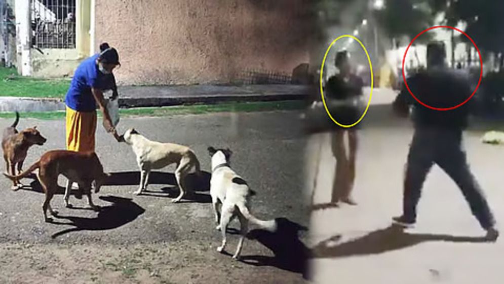 কুকুরকে খাওয়ানোর অপরাধে নারীকে ৩৮ সেকেন্ডে ৮ বার থাপ্পড়