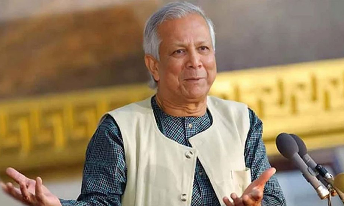 নির্বাচন উৎসবমুখর করতে সেনাবাহিনীর সহায়তা দরকার : উপদেষ্টা