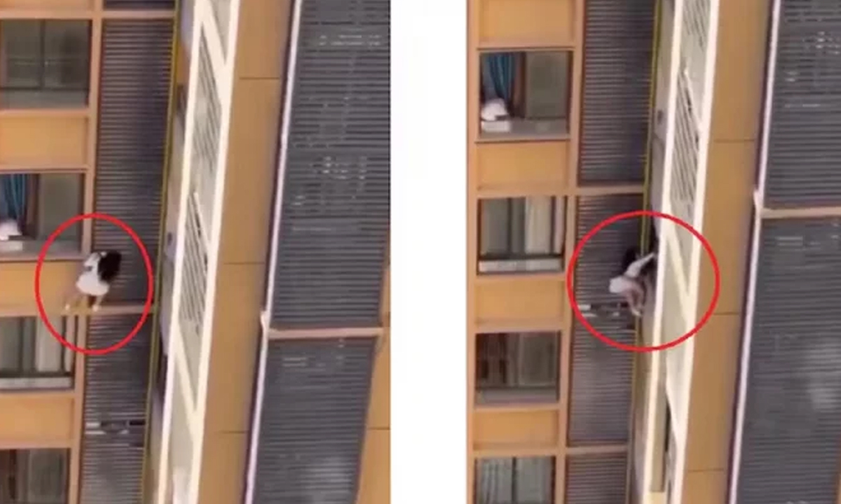 পরকীয়ায় ধরা পড়ে ১০ তলা থেকে ঝুলে পড়লেন তরুণী